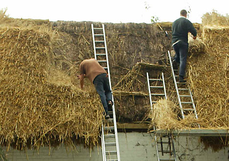  relates to build ready-thatched roofing possible Building materials made 