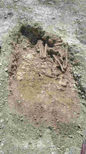 Ancient skeletons uncovered in Amesbury 